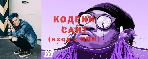 прущие крисы Заводоуковск
