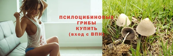 трава Заволжье