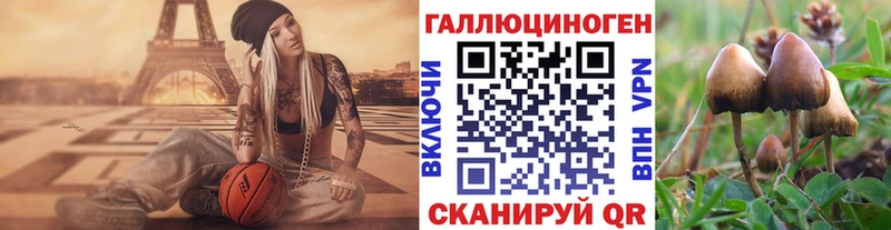Псилоцибиновые грибы прущие грибы  маркетплейс клад  Светлый 